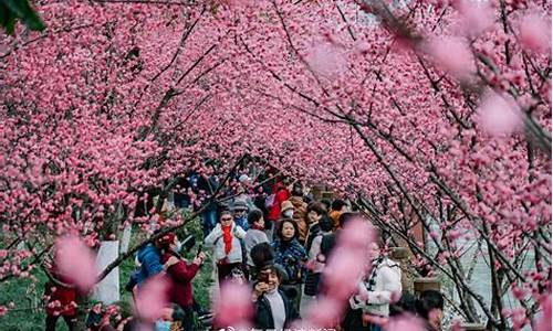 成都历年二月天气_2017成都二月份气温