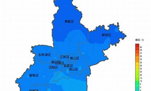 新洲天气预报15天气报气_十堰新洲未来15天气