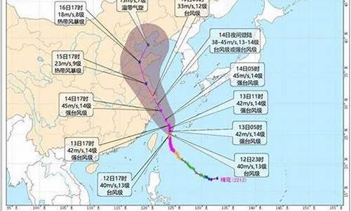 宁波8月天气记录_宁波8月天气记录图