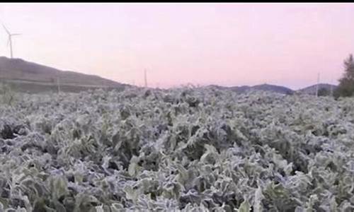 东营天气怎么样,冬天冷不冷_东营今年霜冻天气